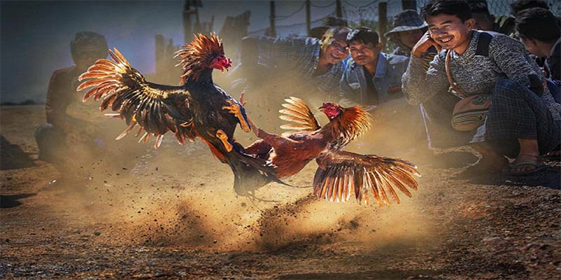 777king99 chơi bắn cá đổi thưởng