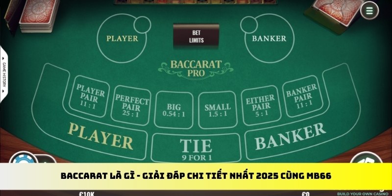 777king99 gà chọi cu cần