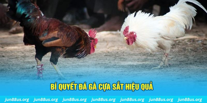 777king99 xin 1 slot là gì