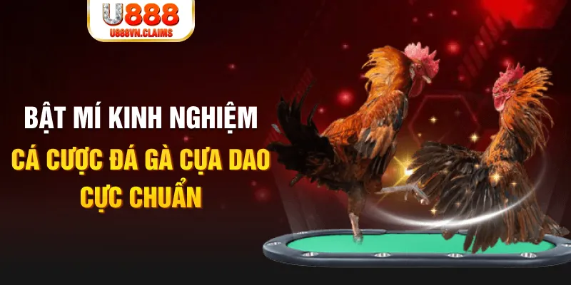777king99 tỷ lệ cá cược châu á là gì