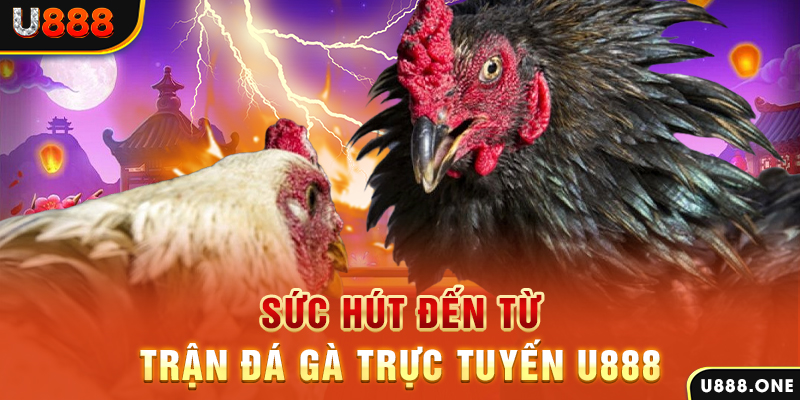 777king99 nổ hũ b29 là gì