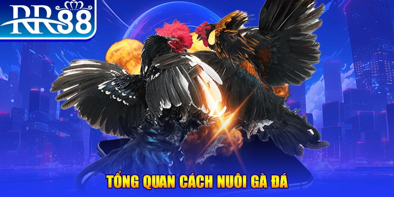 777king99 VA Điện Tử