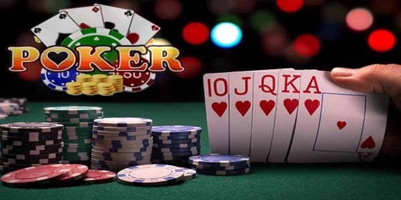 777king99 đá gà thomo trực tiếp