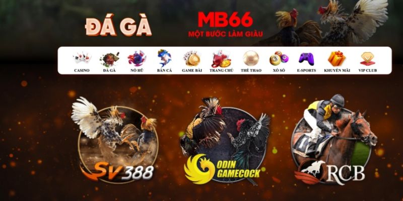 777king99 đăng nhập poker số 1
