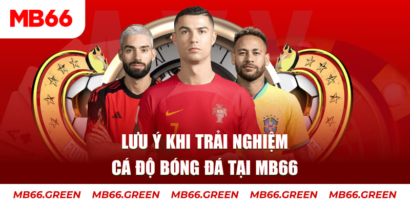 777king99 cá cược là gì