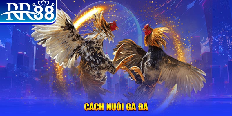 777king99 xổ số an giang