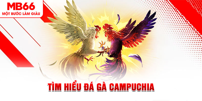 777king99 đá gà trực tiếp