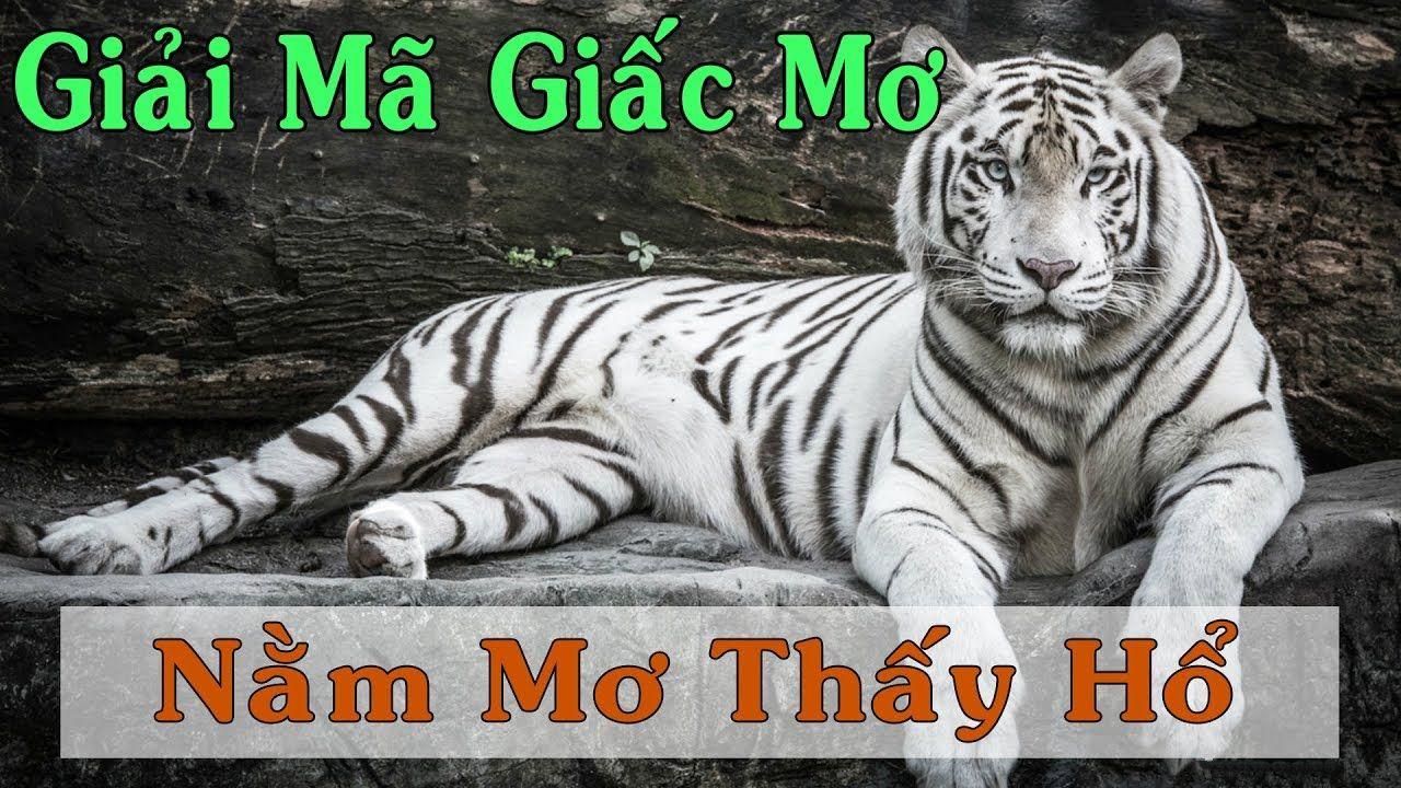 777king99 WM Trực Tuyến