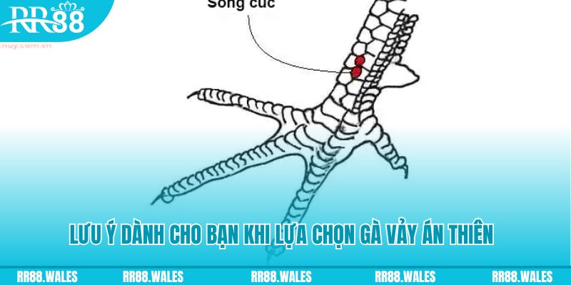 777king99 xổ số đồng nai