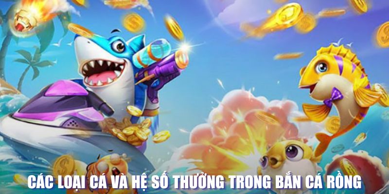 777king99 đăng nhập sòng bạc mới nhất