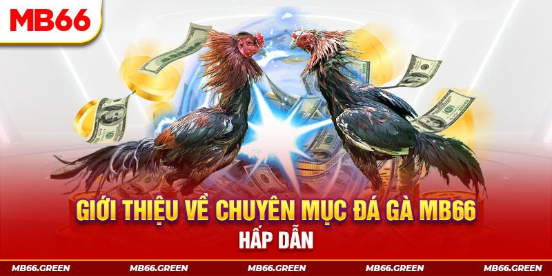 777king99 đăng nhập sòng bạc đổi thưởng