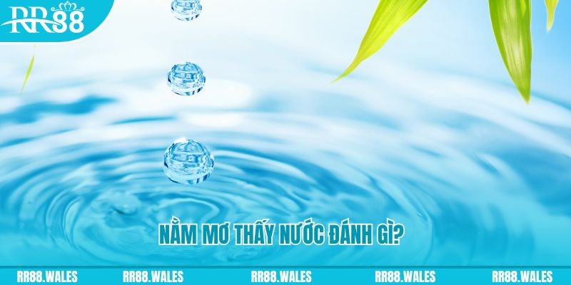 777king99 TP Bắn cá