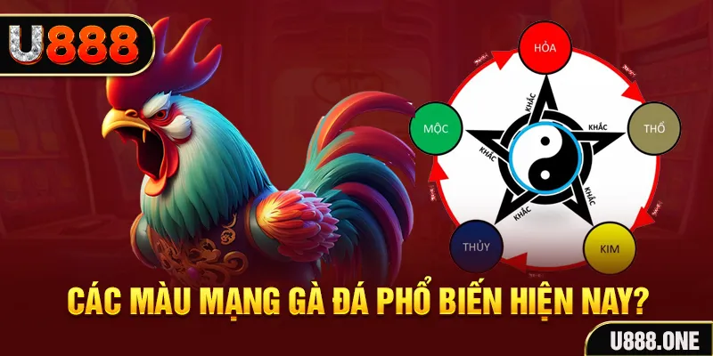 777king99 trực tiếp đá gà 88