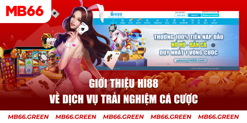 777king99 ga choi hoa phong
