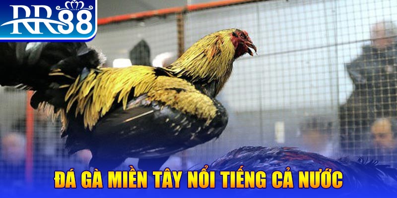 777king99 JILI Game Bài 3d