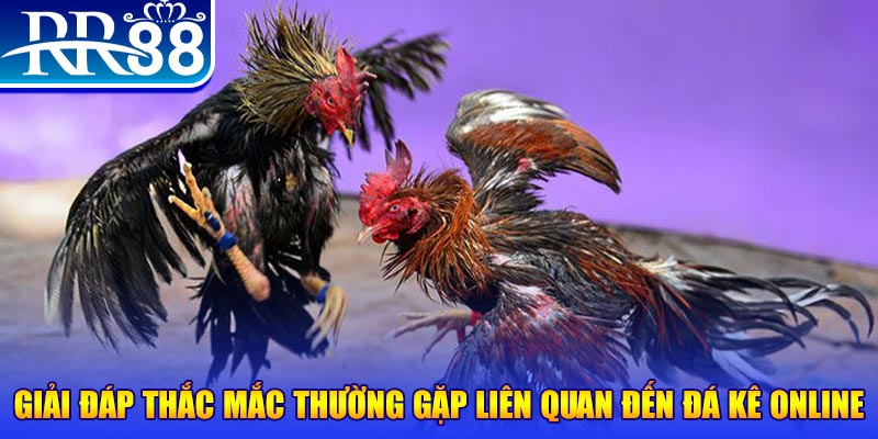 777king99 xổ số đà lạt