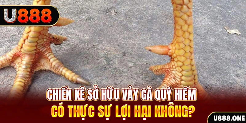 777king99 nohu .mx nổ hủ là gì