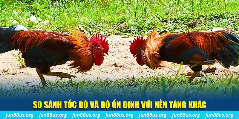 777king99 đá gà hôm nay