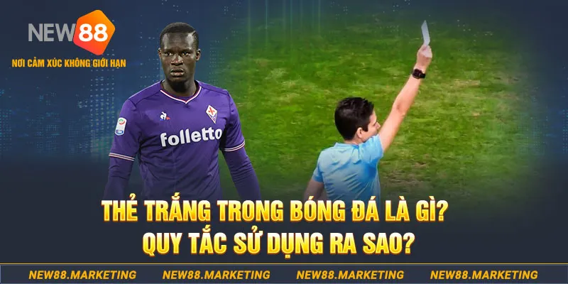777king99 gà chọi mộc hóa