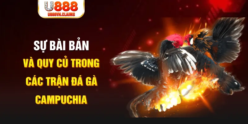 777king99 YGR Điện Tử