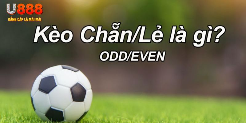 777king99 đăng nhập poker hôm nay