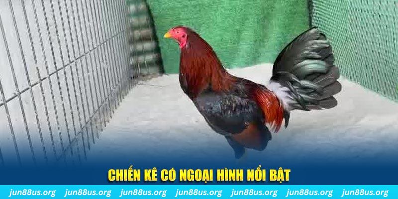 777king99 chạy quảng cáo cho game bài bị phạt như thế nào