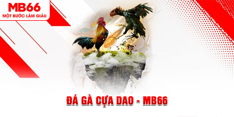777king99 đá gà sv388 gold