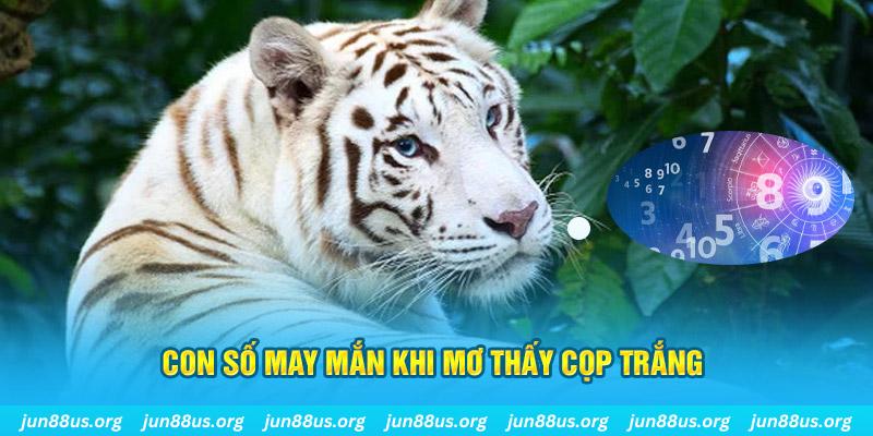 777king99 đá gà trực tiếp 88